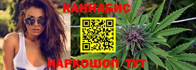 дмт Гатчина