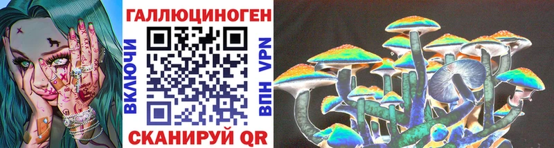 кракен сайт  Копейск  Галлюциногенные грибы Psilocybe 