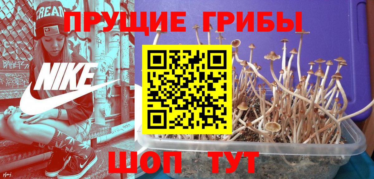 Копейск  Галлюциногенные грибы MAGIC MUSHROOMS  купить   Вход с VPN 