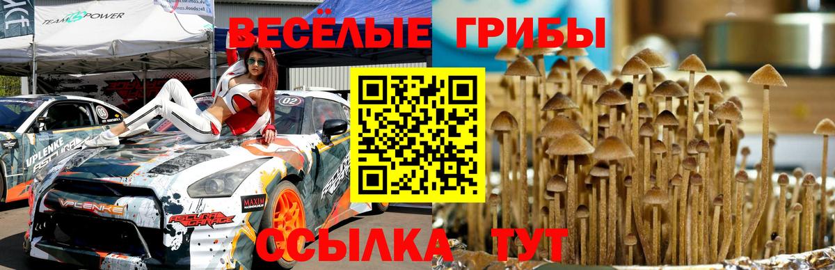 Псилоцибиновые грибы Magic Shrooms Копейск